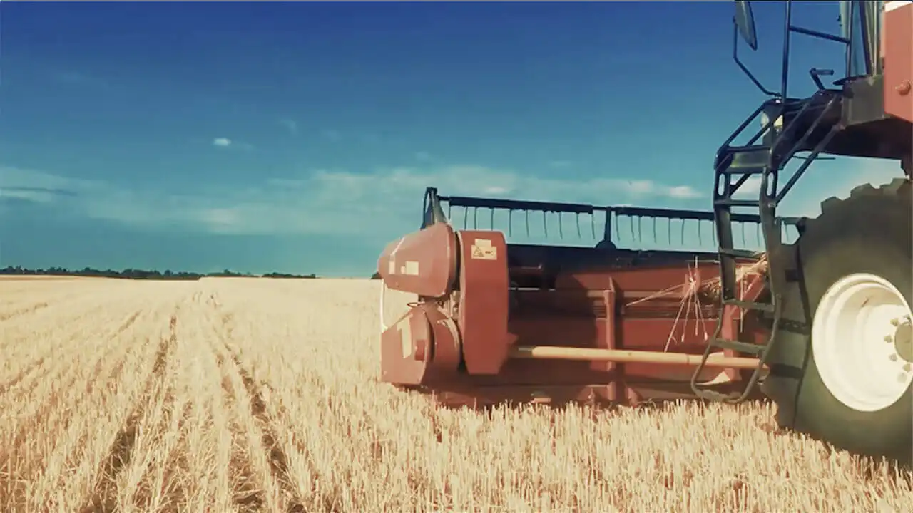 3450: Kupplungsscheibe zu LAVERDA 3450 